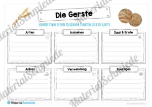 MaterialPaket: Getreide Gerste (Vorschau 04)