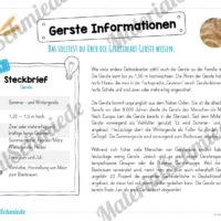 MaterialPaket: Getreide Gerste (Vorschau 05)