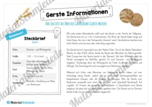 MaterialPaket: Getreide Gerste (Vorschau 05)