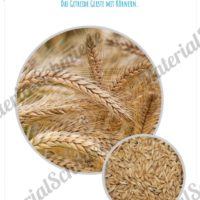 MaterialPaket: Getreide Gerste (Vorschau 08)
