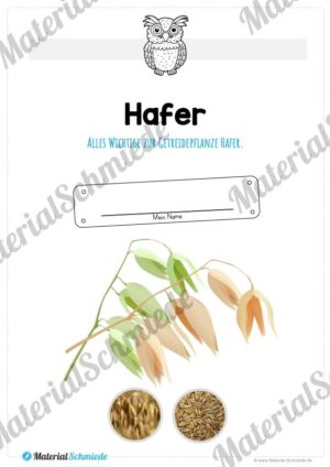 MaterialPaket: Getreide Hafer (Vorschau 01)