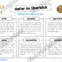 MaterialPaket: Getreide Hafer (Vorschau 03)