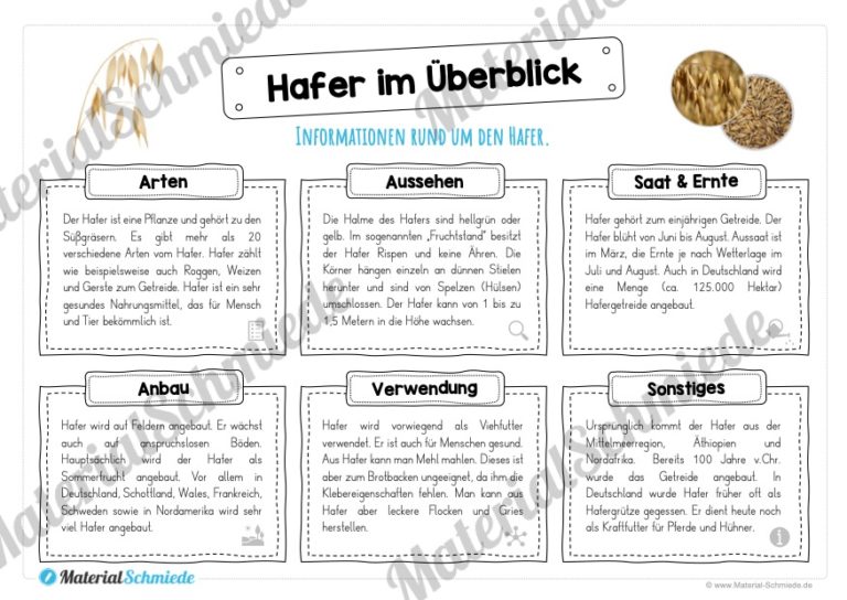MaterialPaket: Getreide Hafer (Vorschau 03)