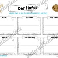 MaterialPaket: Getreide Hafer (Vorschau 04)