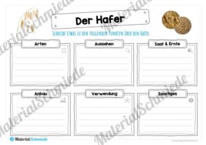 MaterialPaket: Getreide Hafer (Vorschau 04)