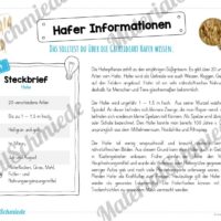 MaterialPaket: Getreide Hafer (Vorschau 05)
