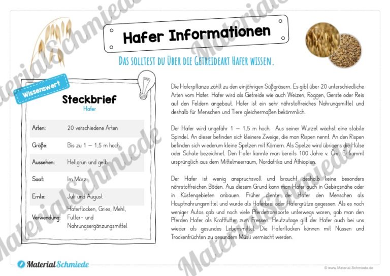 MaterialPaket: Getreide Hafer (Vorschau 05)