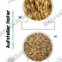MaterialPaket: Getreide Hafer (Vorschau 08)