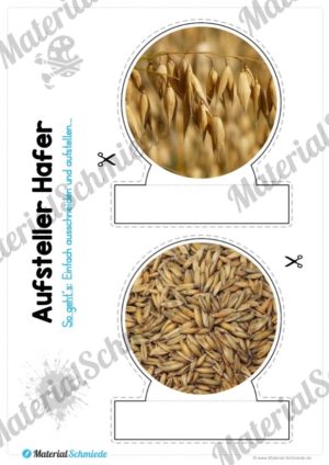 MaterialPaket: Getreide Hafer (Vorschau 08)