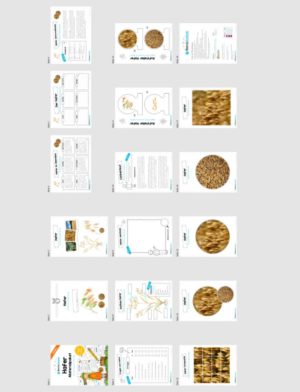MaterialPaket: Getreide Hafer (Überblick)