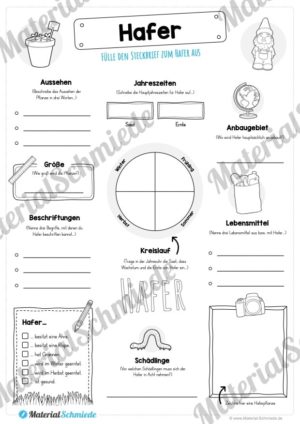 Steckbrief Hafer (Vorschau)