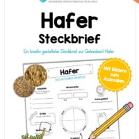 Steckbrief Hafer