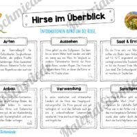 MaterialPaket: Getreide Hirse (Vorschau 03)