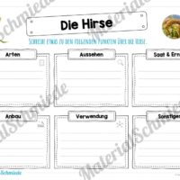 MaterialPaket: Getreide Hirse (Vorschau 04)