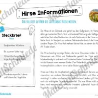 MaterialPaket: Getreide Hirse (Vorschau 05)