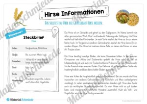 MaterialPaket: Getreide Hirse (Vorschau 05)