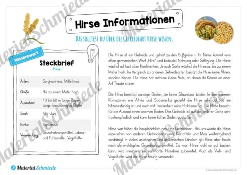 MaterialPaket: Getreide Hirse (Vorschau 05)