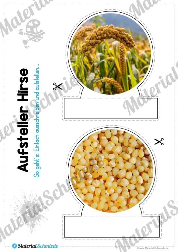 MaterialPaket: Getreide Hirse (Vorschau 09)