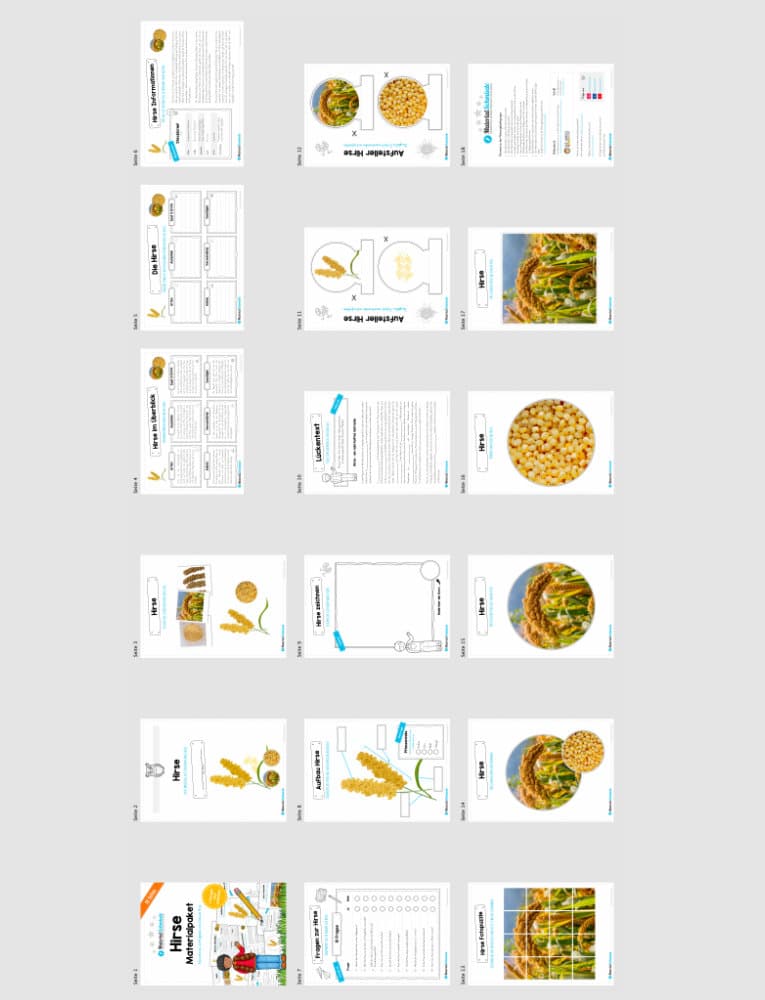 MaterialPaket: Getreide Hirse (Überblick)