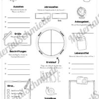 Steckbrief Hirse (Vorschau)