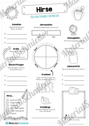 Steckbrief Hirse (Vorschau)