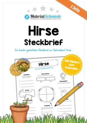 Steckbrief Hirse