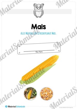 MaterialPaket: Getreide Mais (Vorschau 01)