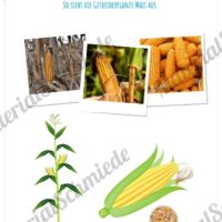 MaterialPaket: Getreide Mais (Vorschau 02)
