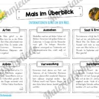 MaterialPaket: Getreide Mais (Vorschau 03)