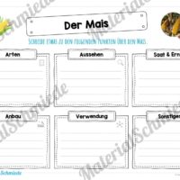MaterialPaket: Getreide Mais (Vorschau 04)