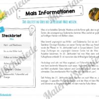 MaterialPaket: Getreide Mais (Vorschau 05)