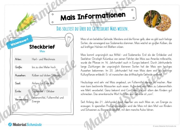 MaterialPaket: Getreide Mais (Vorschau 05)