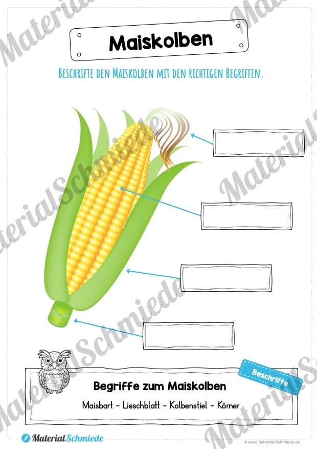 MaterialPaket: Getreide Mais (Vorschau 08)