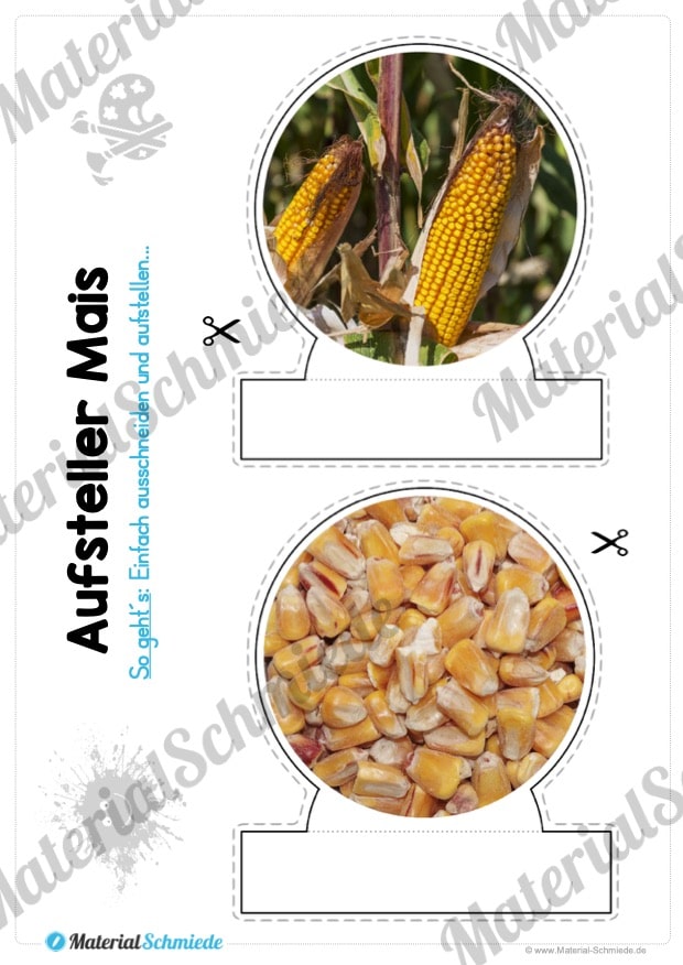 MaterialPaket: Getreide Mais (Vorschau 09)