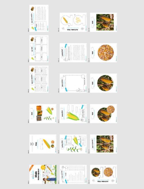 MaterialPaket: Getreide Mais (Überblick)