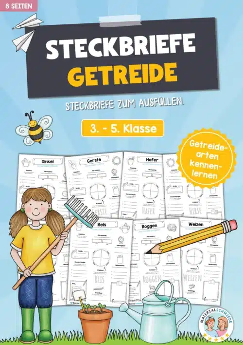 Steckbriefe Getreide (8 Steckbriefe)