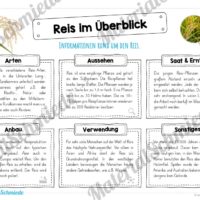 MaterialPaket: Getreide Reis (Vorschau 02)