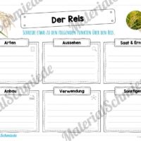 MaterialPaket: Getreide Reis (Vorschau 03)