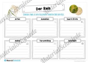 MaterialPaket: Getreide Reis (Vorschau 03)