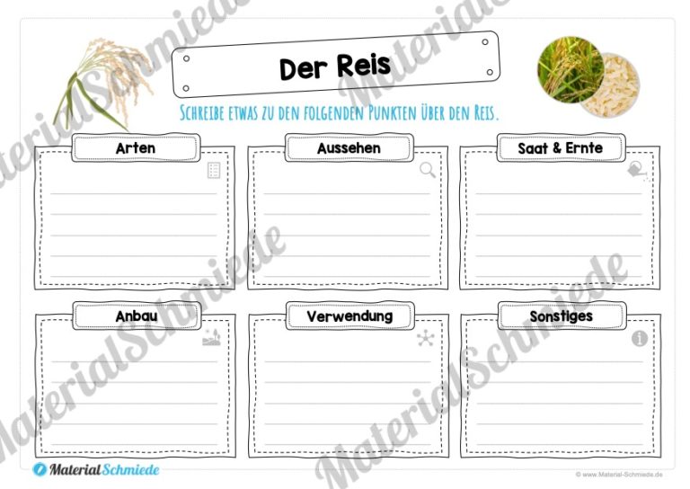 MaterialPaket: Getreide Reis (Vorschau 03)