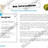 MaterialPaket: Getreide Reis (Vorschau 04)