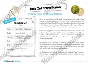 MaterialPaket: Getreide Reis (Vorschau 04)