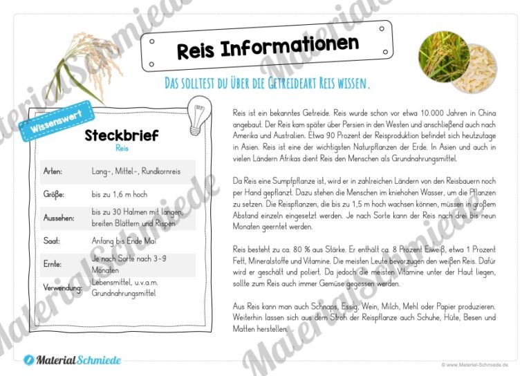 MaterialPaket: Getreide Reis (Vorschau 04)