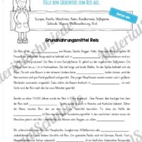 MaterialPaket: Getreide Reis (Vorschau 08)