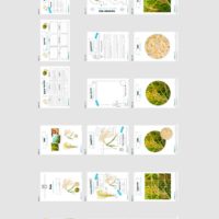 MaterialPaket: Getreide Reis (Überblick)