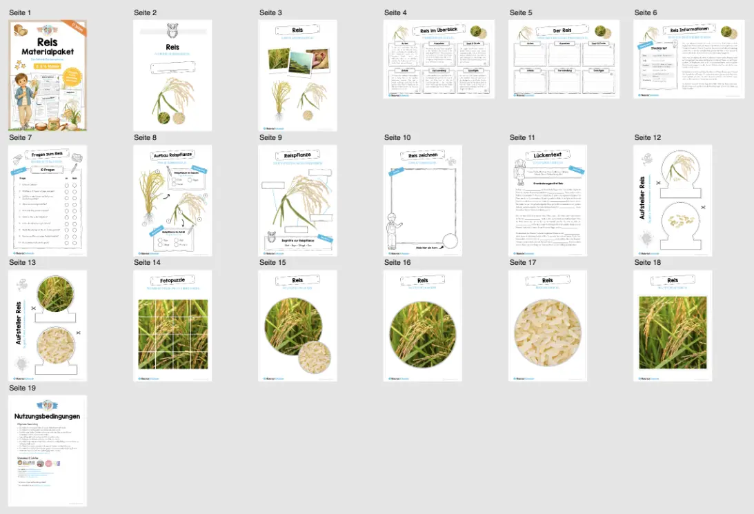 Materialpaket Mais (16 Seiten) - Überblick