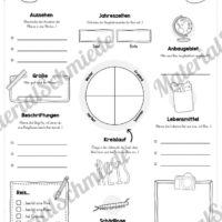 Steckbrief Reis (Vorschau)