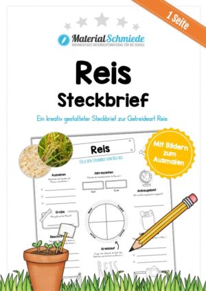 Steckbrief Reis