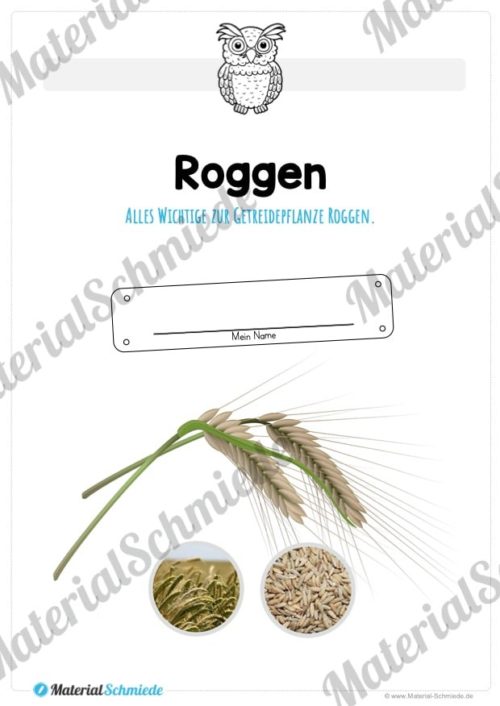 MaterialPaket: Getreide Roggen (Vorschau 01)