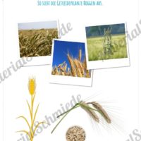 MaterialPaket: Getreide Roggen (Vorschau 02)